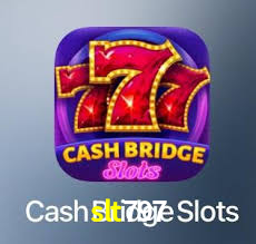 slt797 app